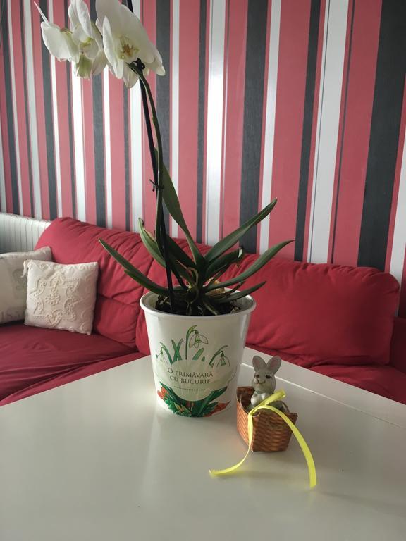Dora City Apartament Lejlighed Cluj-Napoca Eksteriør billede