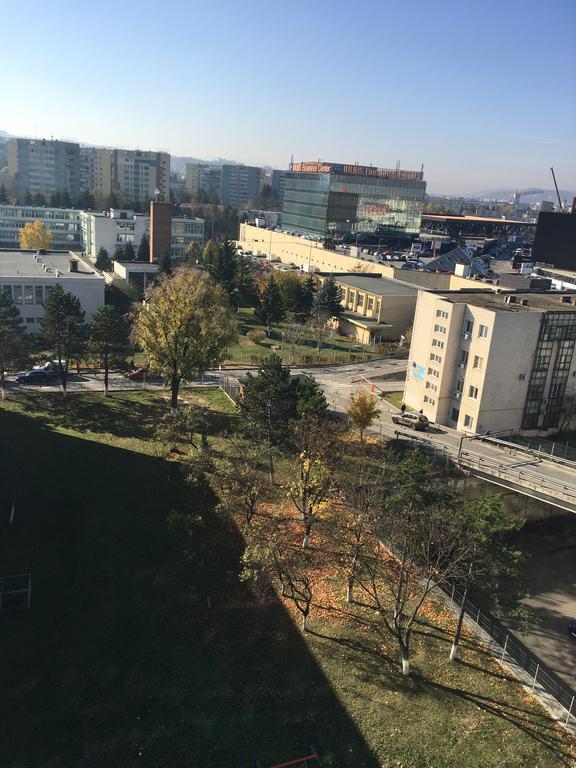 Dora City Apartament Lejlighed Cluj-Napoca Eksteriør billede